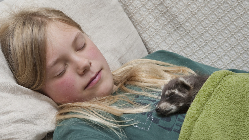    Фото: www.globallookpress.com/F. Hecker