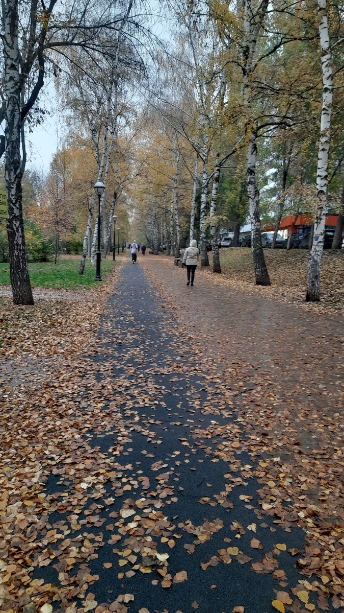 На ковре из желтых листьев... Фото автора.