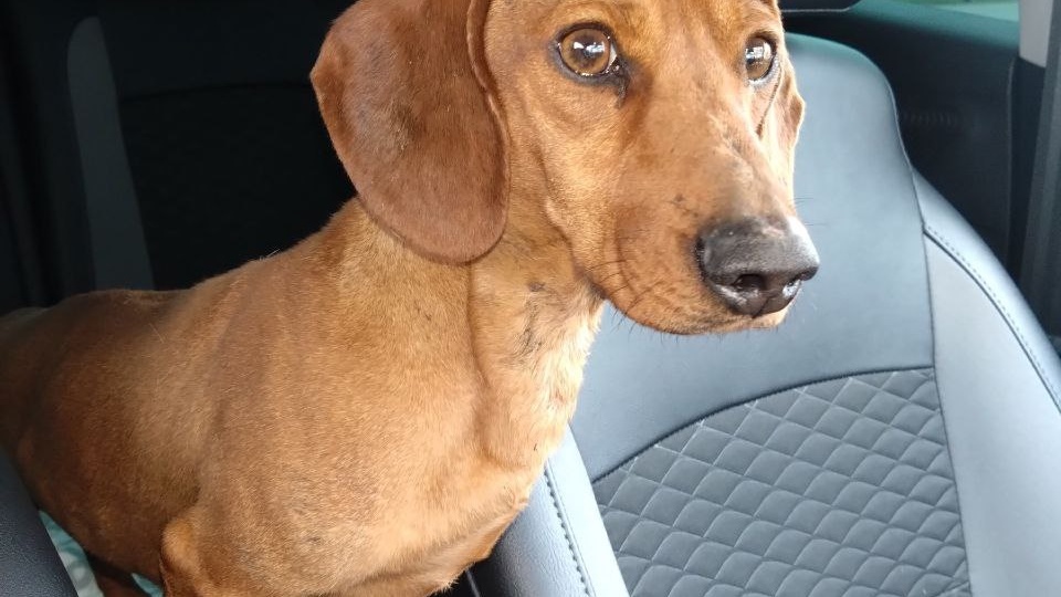 📣 БУЗУЛУК, ОРЕНБУРГСКАЯ ОБЛ