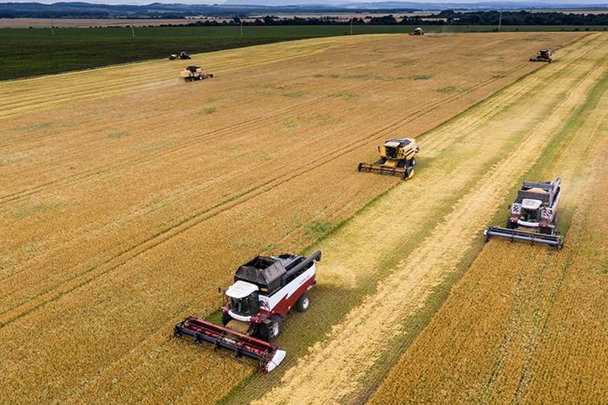    Фото: Виталий Тимкив, источник: ria.ru