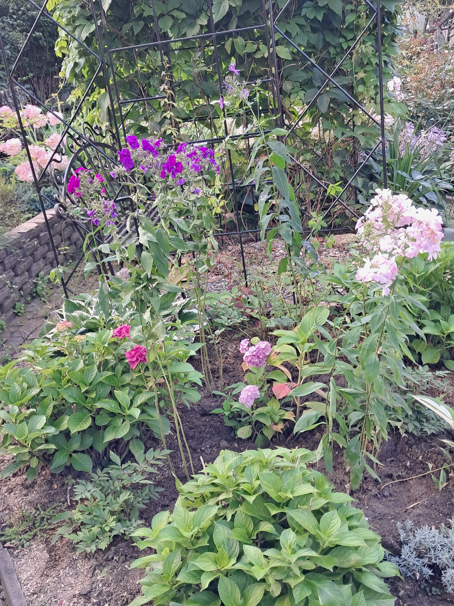 Левый треугольник у беседки будет перекликаться с правым 