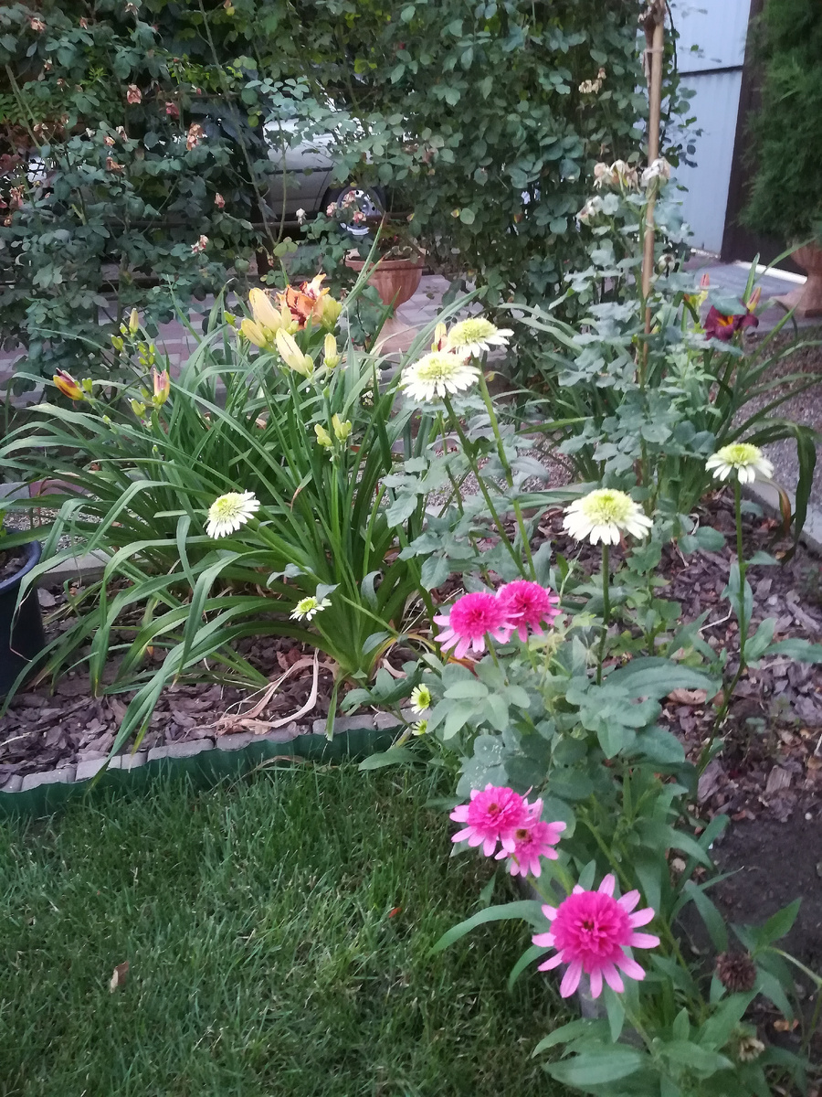 А это единственное типа парадное фото. Парад не удался. 