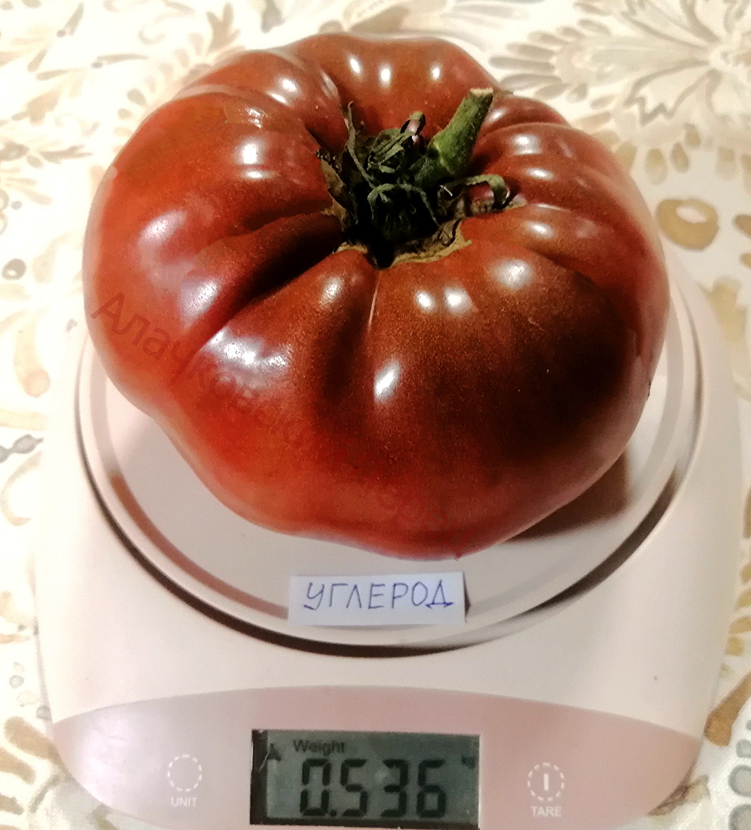 Углерод (Carbon)