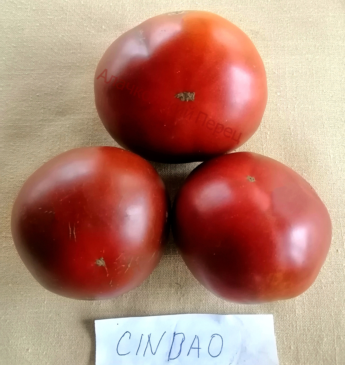 Циндао (Cindao)