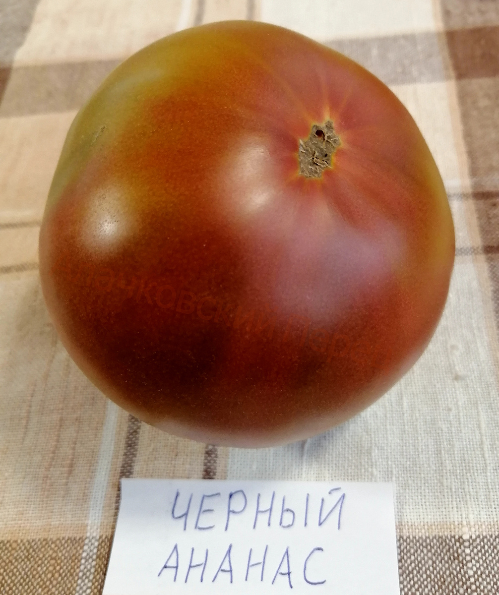 Чёрный ананас