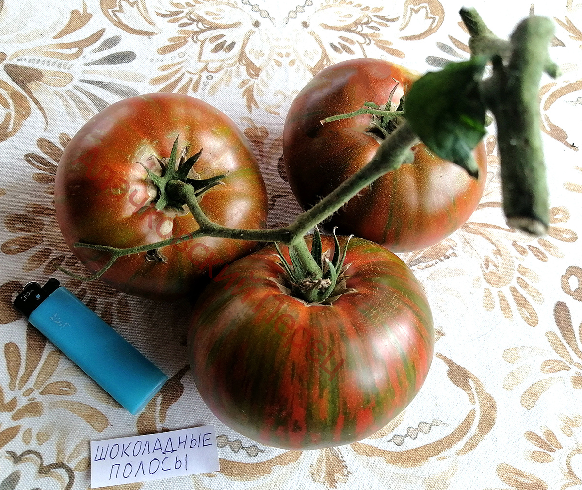 Шоколадные полосы