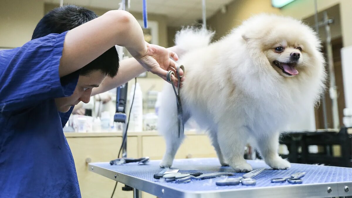   Сергей Савостьянов / ТАСС