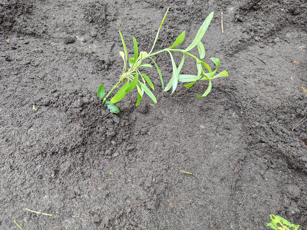 Даже такая малявка может полностью поменять моё настроение. 