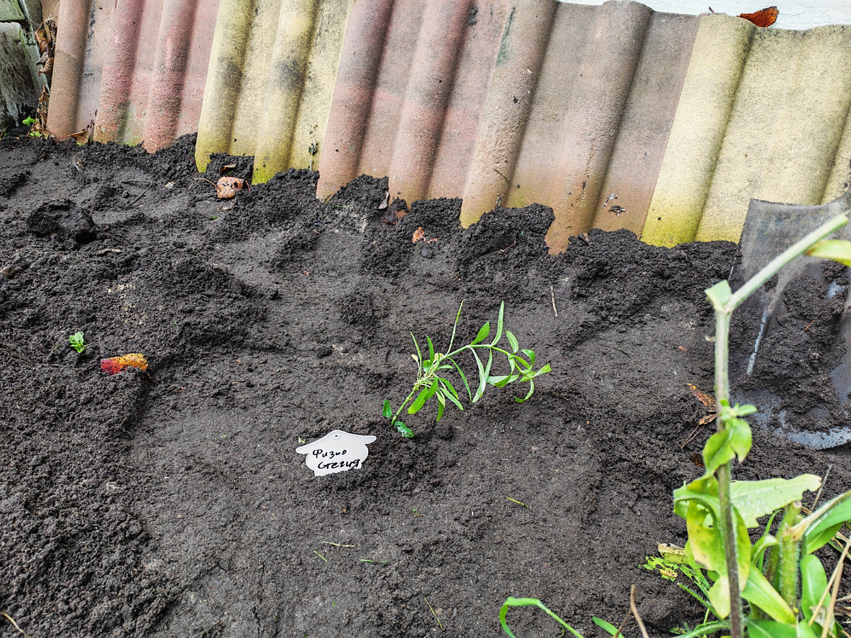 Подписана мужем. 