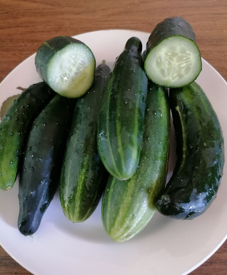 Балконные огурцы Городской огурчик, фото автора