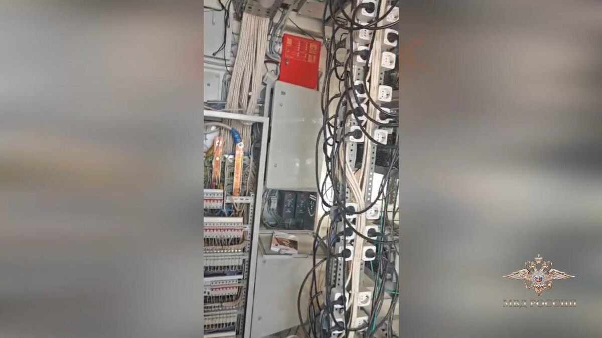    Фото: МВД России