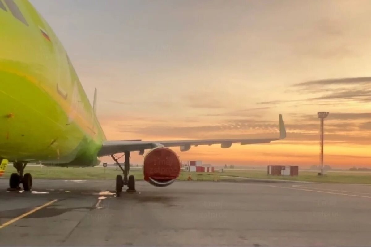    10 пассажиров не смогли улететь из-за овербукинга из Сочи в Новосибирск