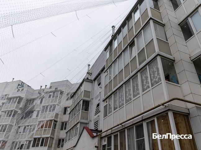 Фото: Алексей Дацковский