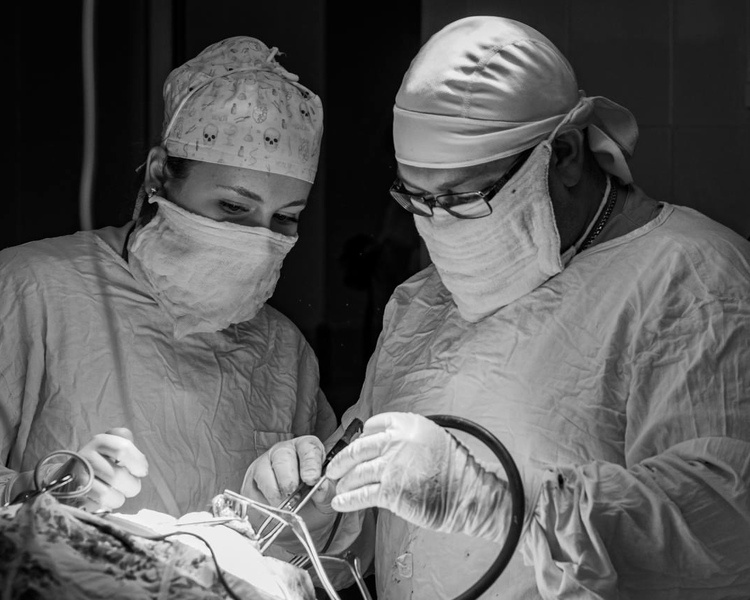     Курской областной клинической больнице присвоят имя святого Луки Крымского