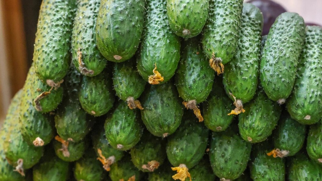    Фото: © Petrov Sergey/news.ru/Globallookpress