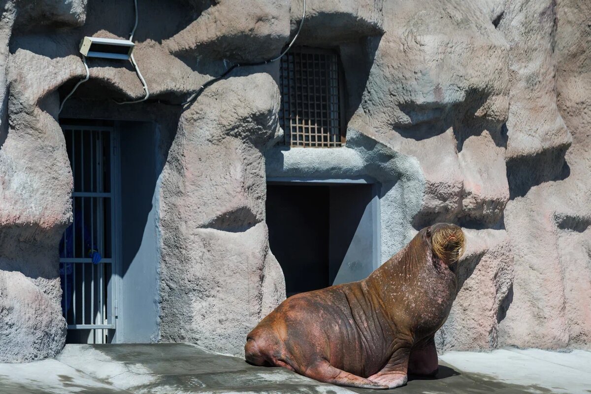 Ижевский зоопарк
