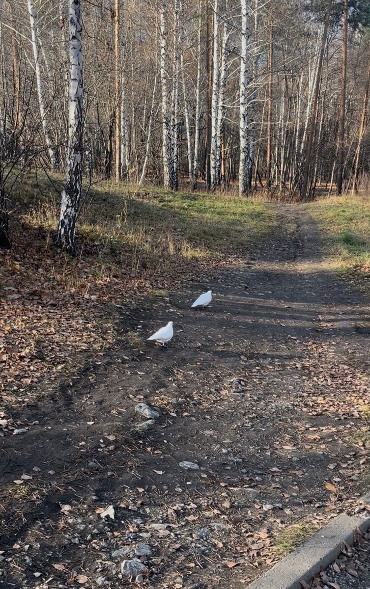 Фото прислала автор письма ;)