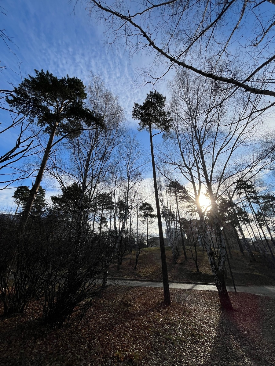 Автор фото - автор письма :)