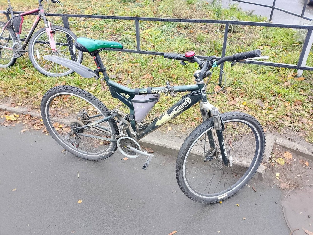    Фото: Госавтоинспекция Петрозаводска / ВК