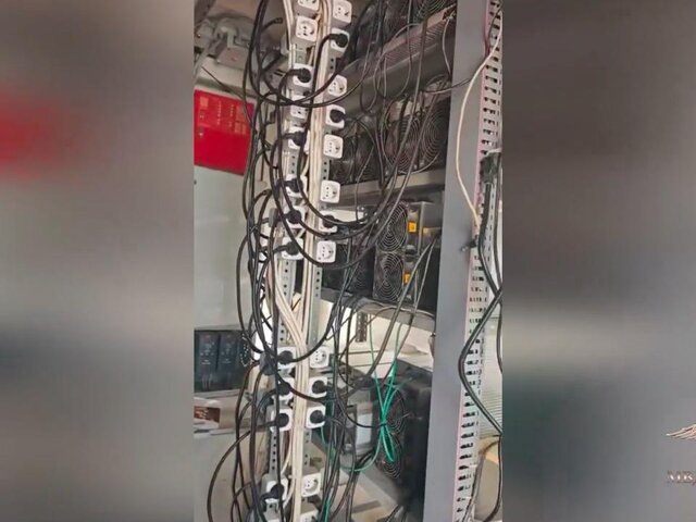    Фото: телеграм-канал "Ирина Волк"