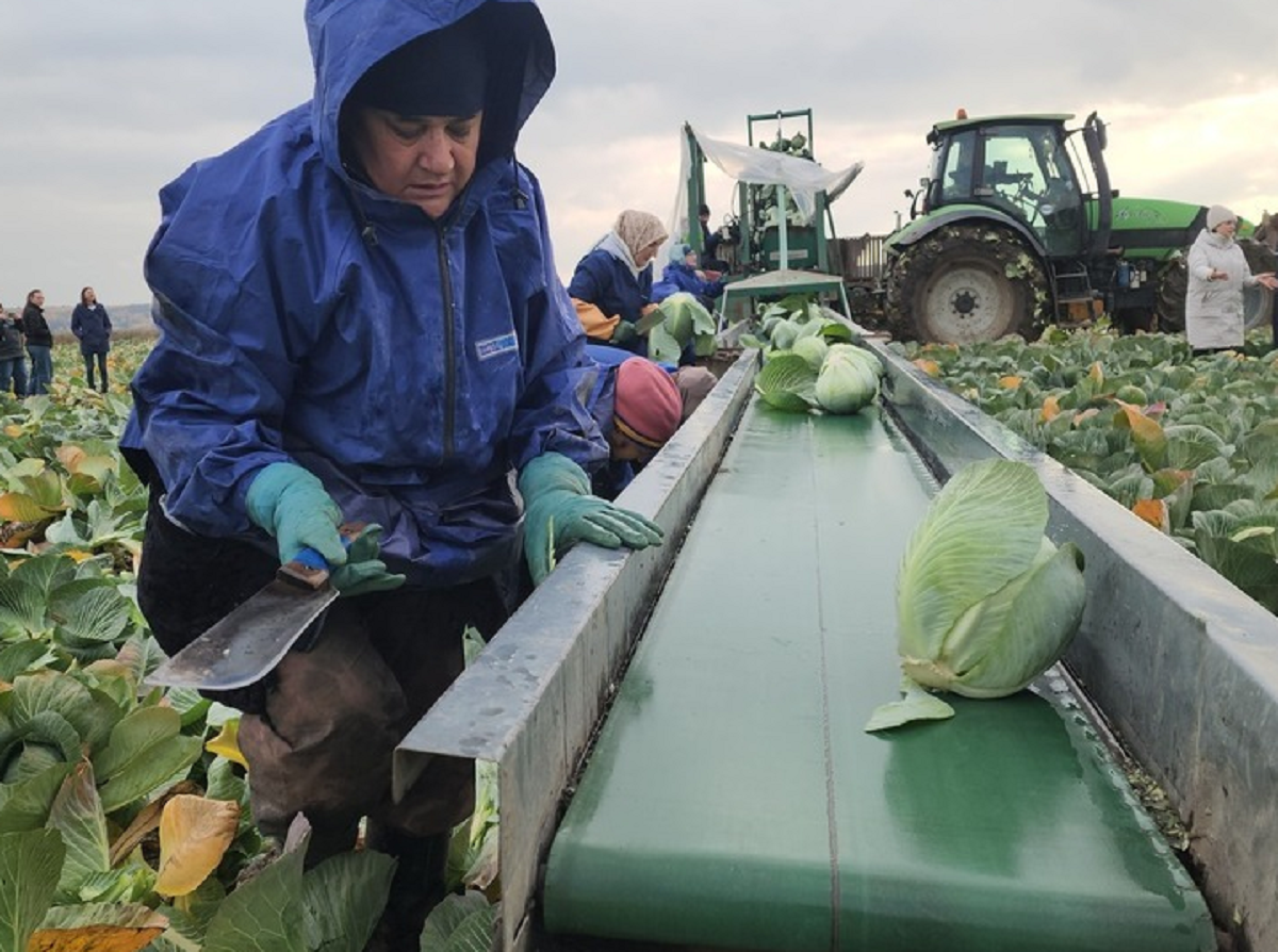    Фото: Валерий Гореловский, источник: МедиаБанк Подмосковья