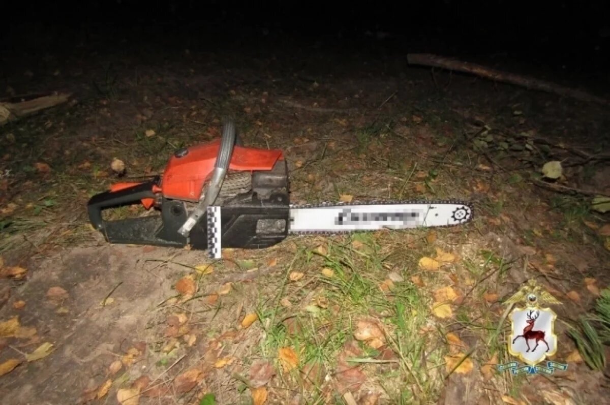    Черного лесоруба-рецидивиста задержали в Нижегородской области