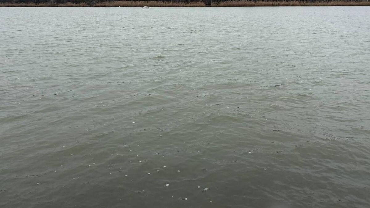    Фото: телеканал «Краснодар»