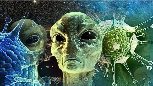 Вирус - паразит.