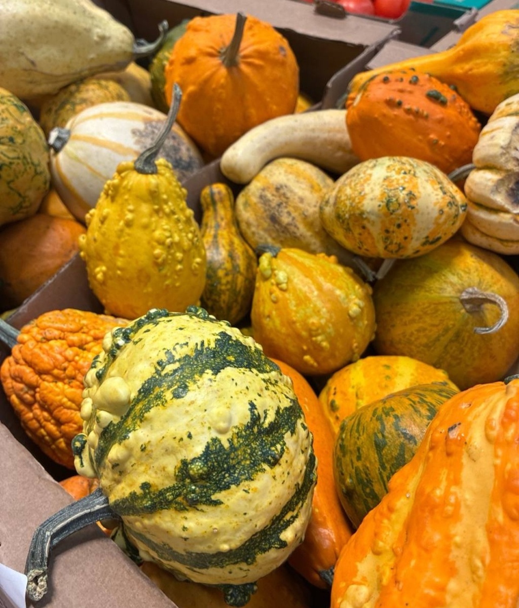 Контейнер  м тыковками из ТК