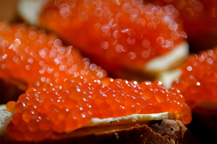     Фото: Юрий Смитюк / ТАСС