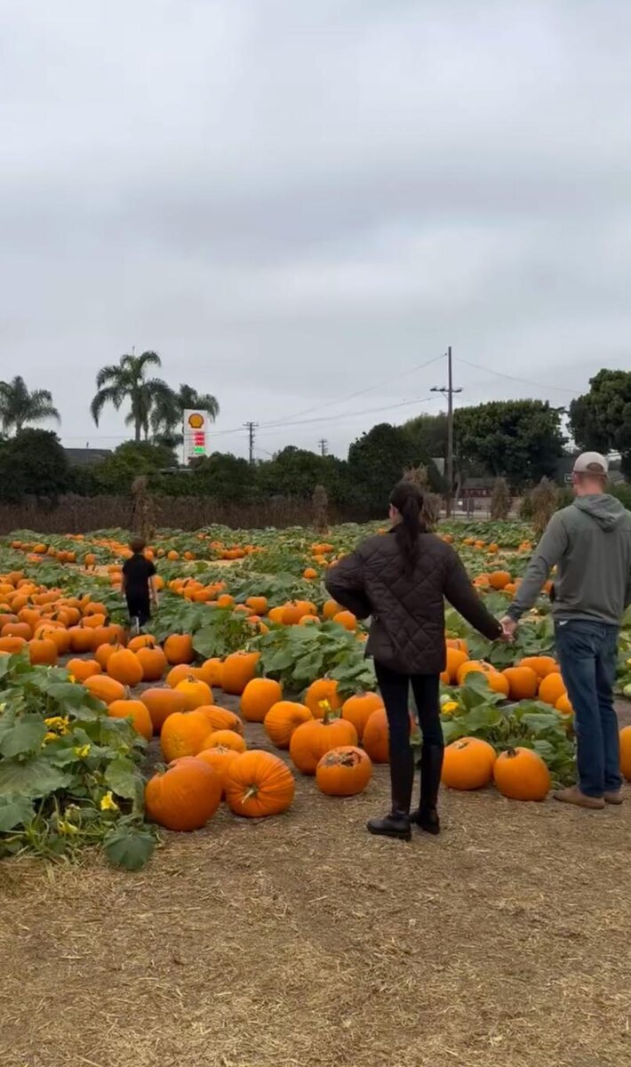 Меган Маркл и принц Гарри 