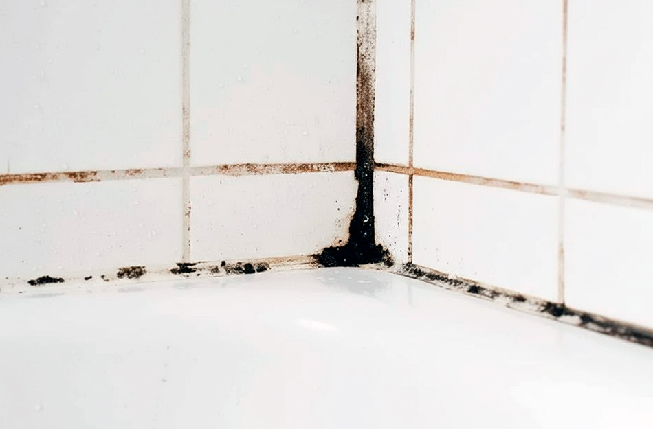 Плесень в ванной