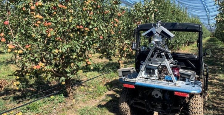    Фото: Greenatlas