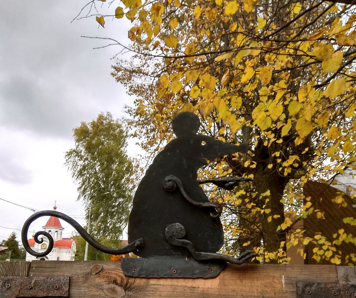 С погодой нам не повезло, зато мышей и мышек насмотрелись