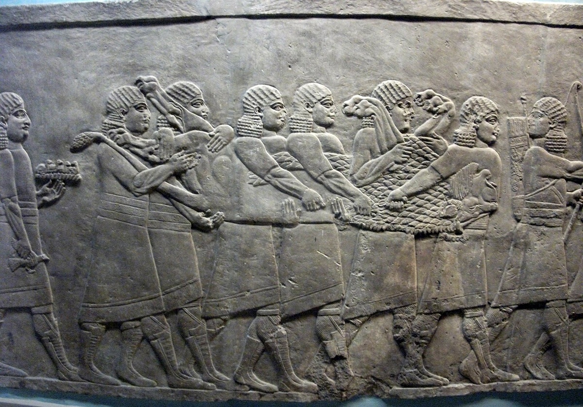 Источник: commons.m.wikimedia.org