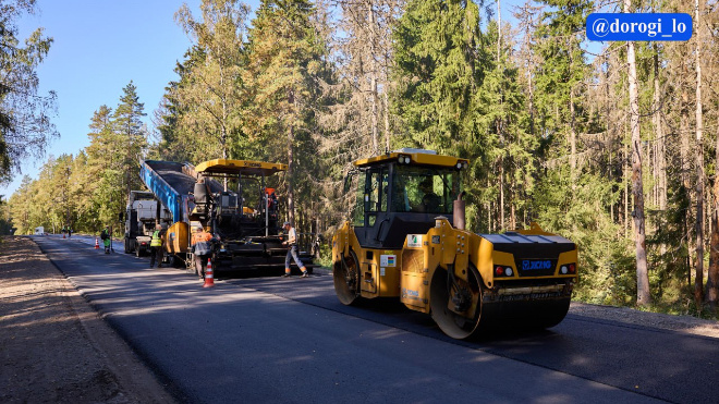 Фото: Dorogi_lo/telegram