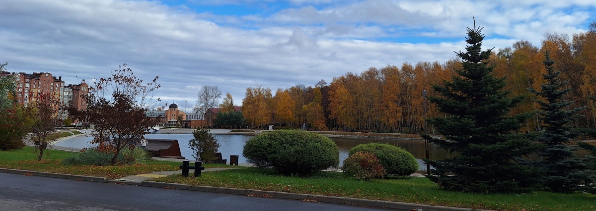 Важно высаживать кустарники и деревья разных пород, чтобы они радовали глаз в течение всего года
