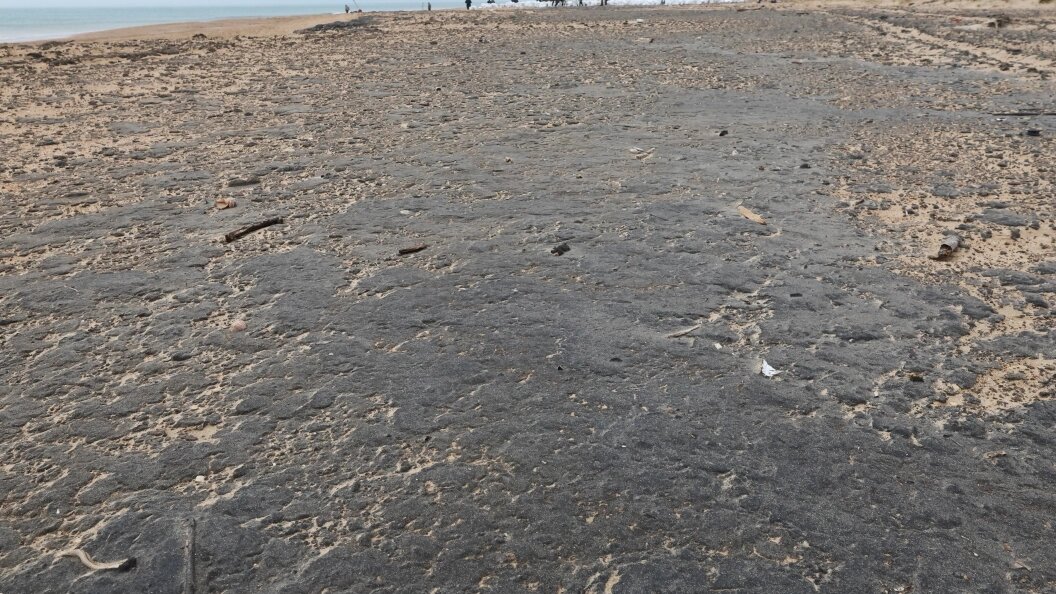    Фото: Belkin Alexey/news.ru/Globallookpress