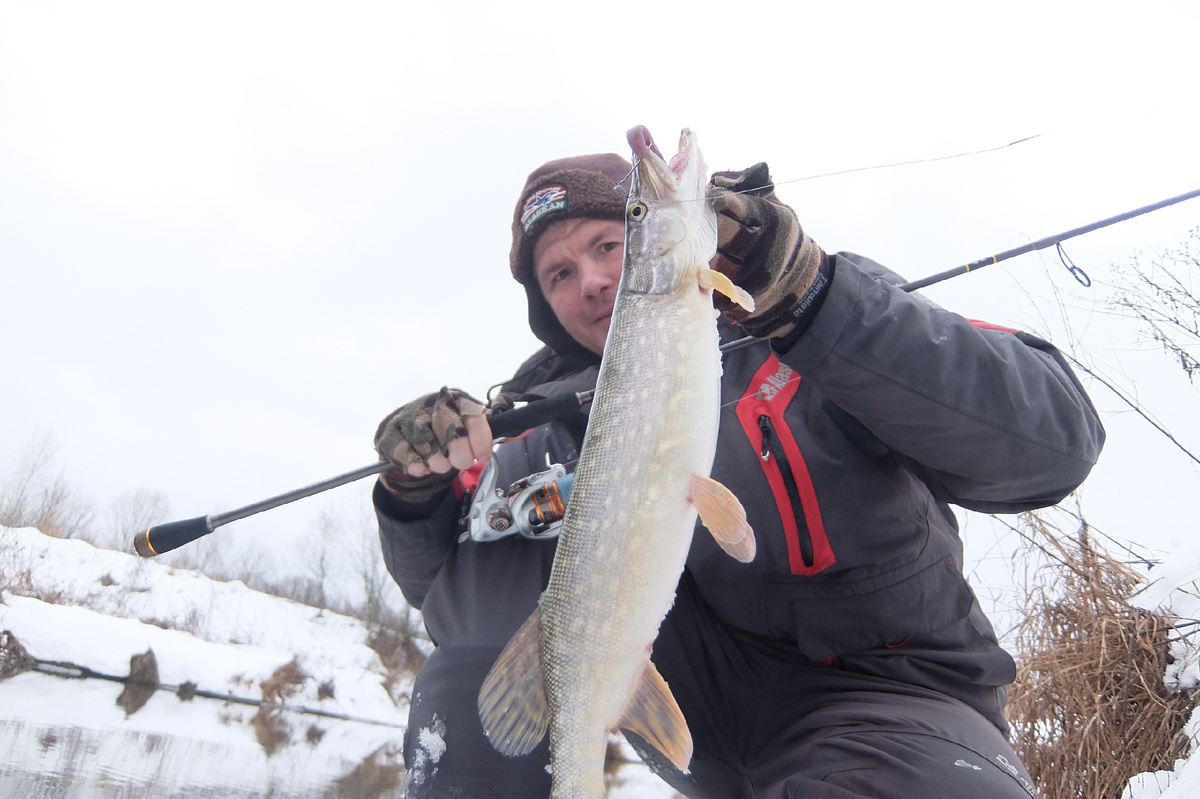 фото: Дмитрий Гладков