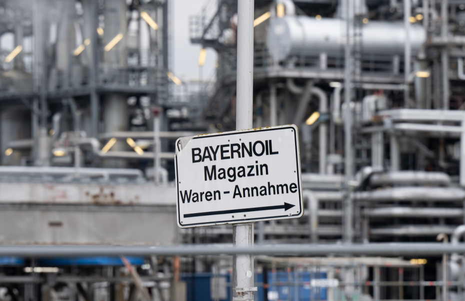    Sven Hoppe/dpa/Global Look Press