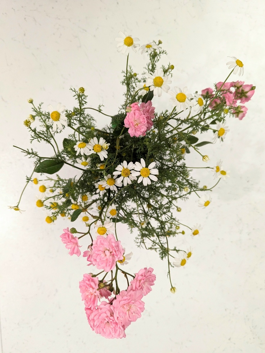 Кто же создал эту картинку? Вот это задачка!