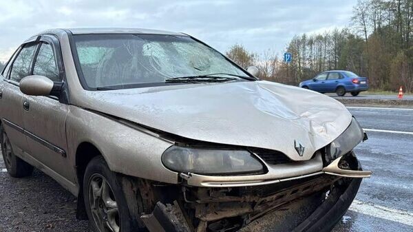    © Photo : Telegram / УГАИ УВД Гомельского облисполкома