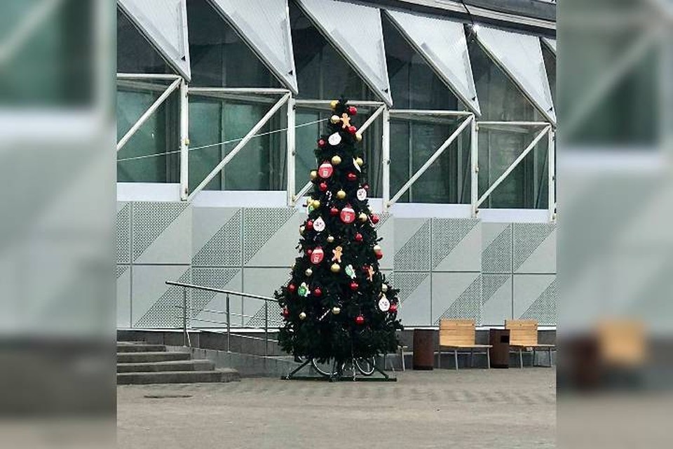    Первую новогоднюю елку установили в Нижнем Новгороде. Фото: телеграм-канал "Нижний 24"