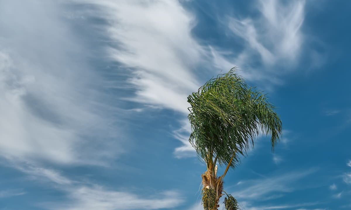    Фото freepik.com