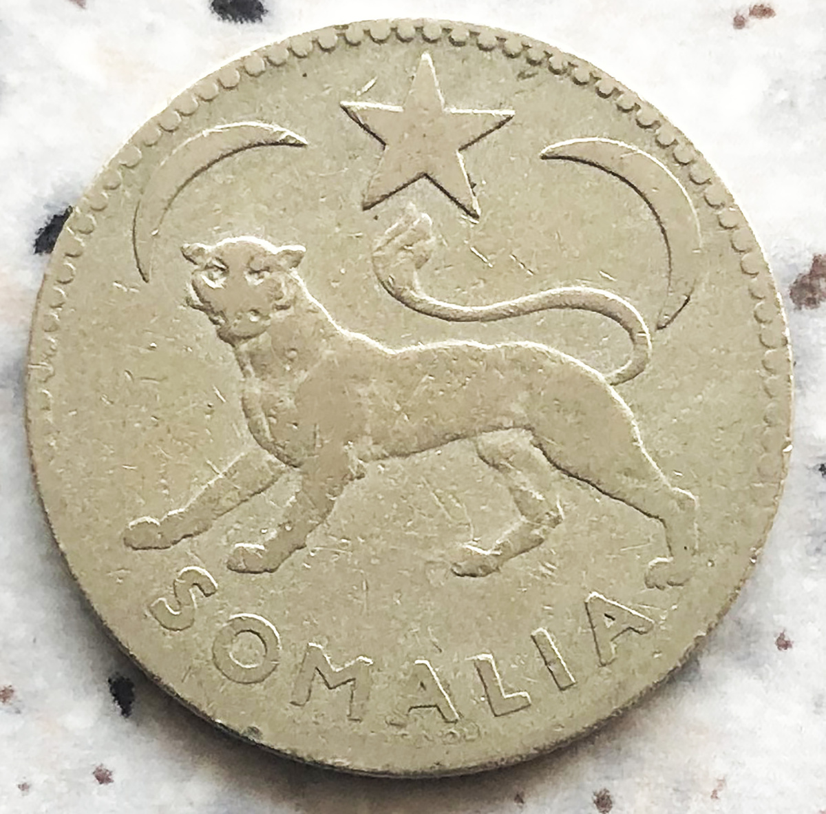 Сомали 50 чентезимо 1950. Фото автора. 