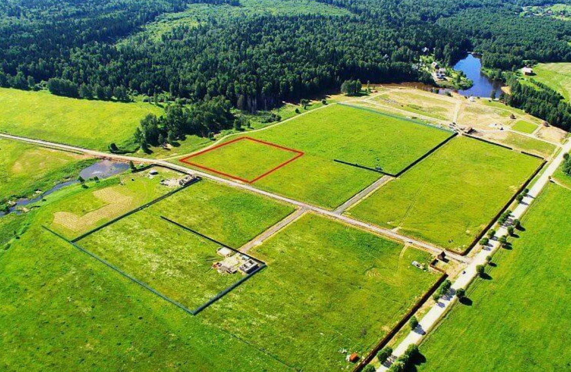 Фото: ЯндексКартинки