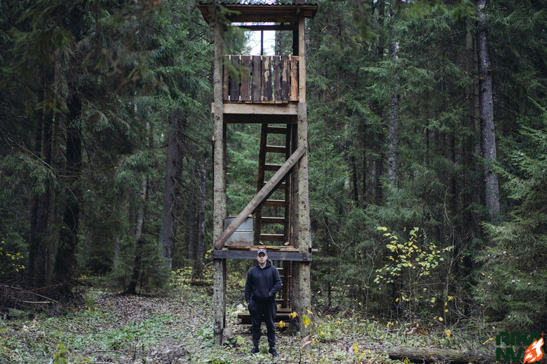 В действительности за лесом всегда следят