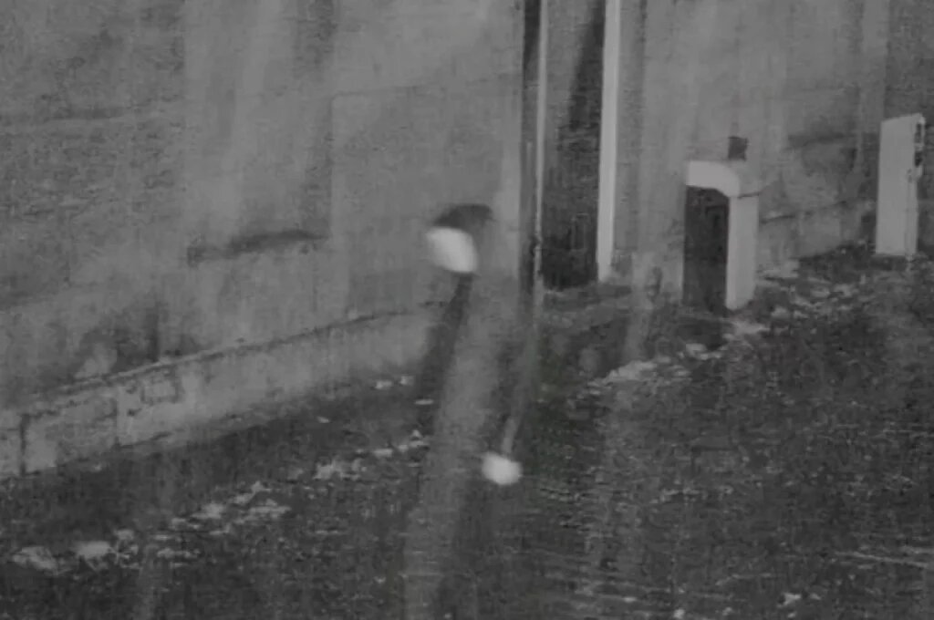    English Heritage / The Daily Mail