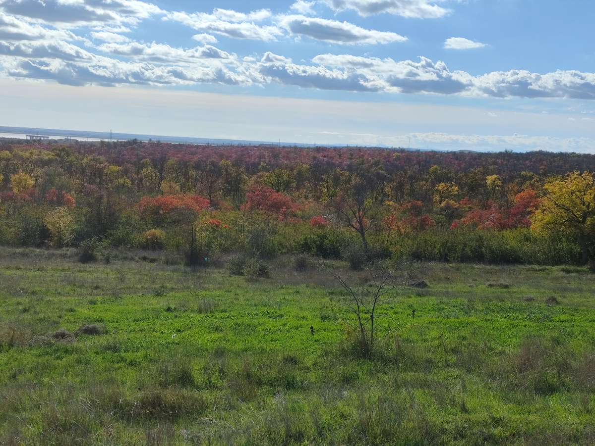 Лес оделся в багрянец