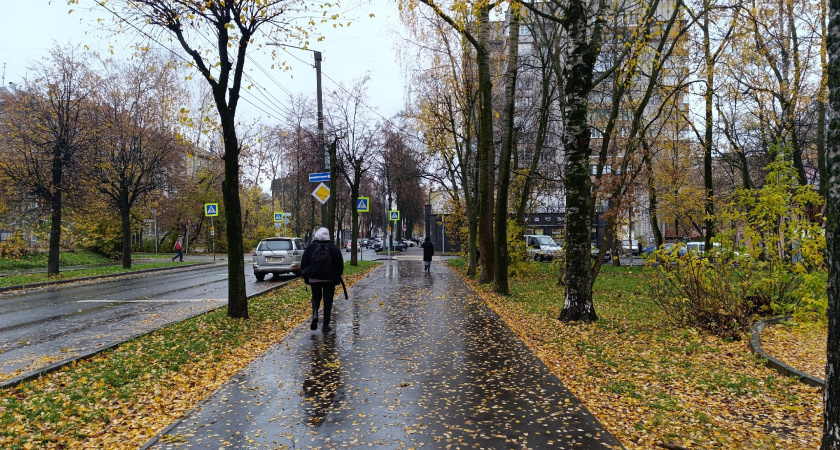    Эта рабочая неделя будет шестидневной: выходные сдвинули на другие даты - как отдыхаем в ноябре 2025